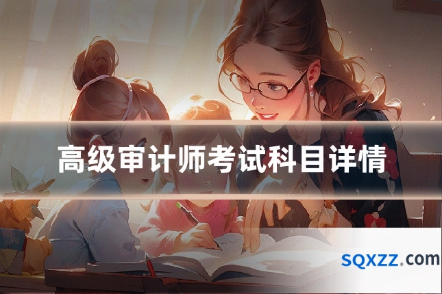 高级审计师考试科目详情