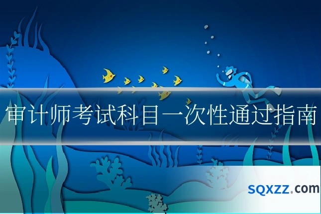 审计师考试科目一次性通过指南