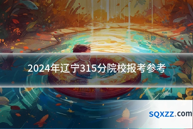2024年辽宁315分院校报考参考