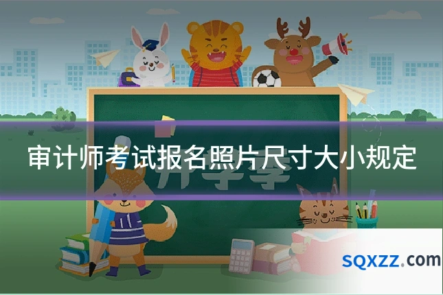 审计师考试报名照片尺寸大小规定