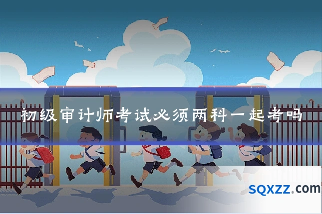 初级审计师考试必须两科一起考吗
