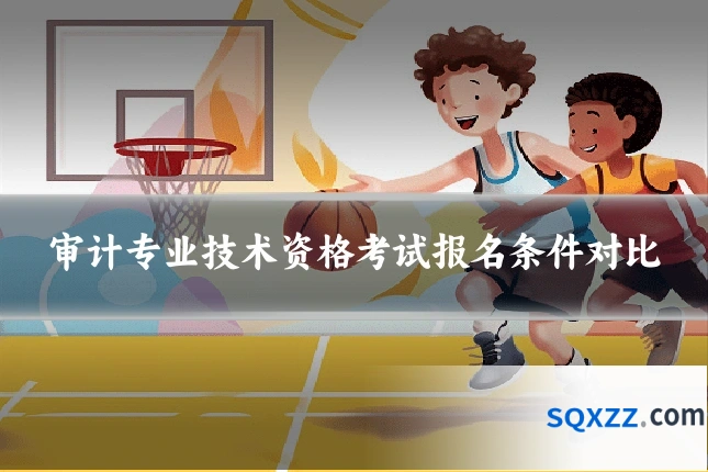 审计专业技术资格考试报名条件对比
