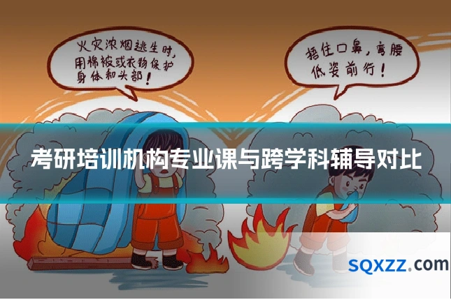 考研培训机构专业课与跨学科辅导对比