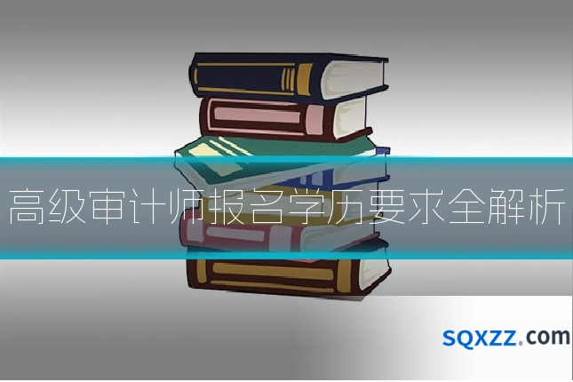 高级审计师报名学历要求全解析