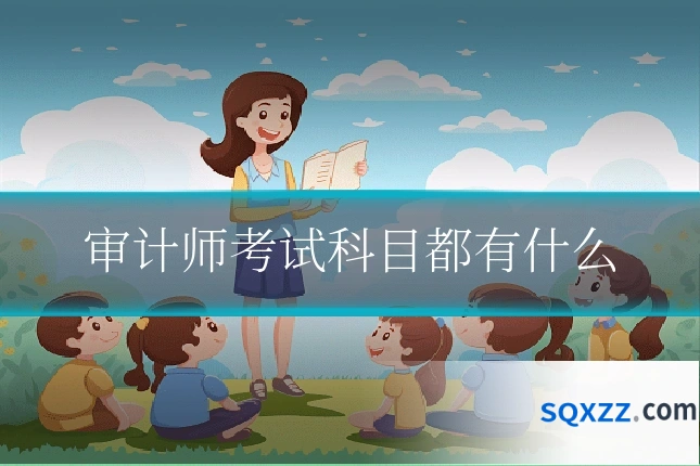 审计师考试科目都有什么
