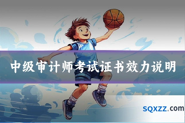 中级审计师考试证书效力说明