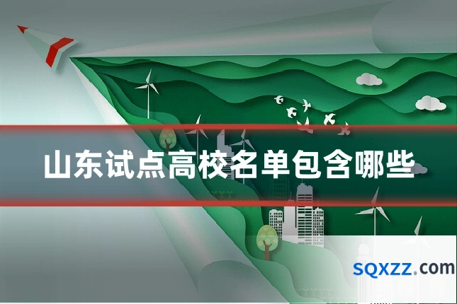 山东试点高校名单包含哪些