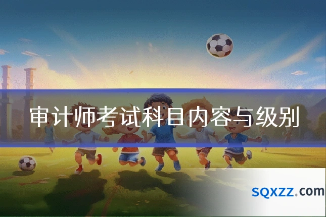 审计师考试科目内容与级别
