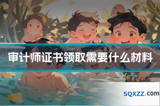 审计师证书领取需要什么材料