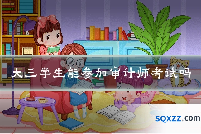 大三学生能参加审计师考试吗