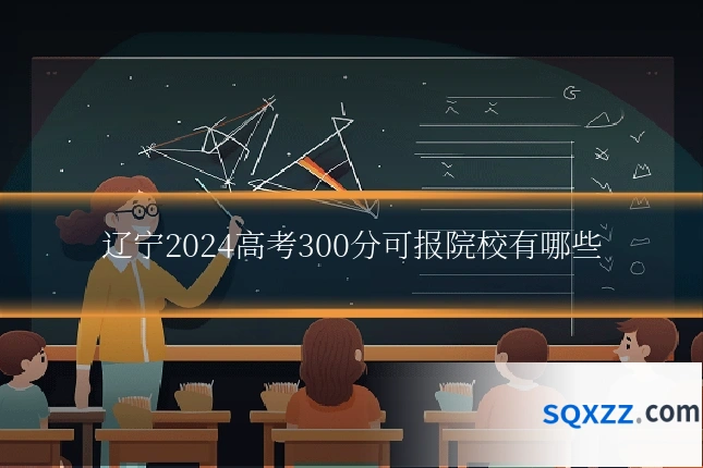 辽宁2024高考300分可报院校有哪些