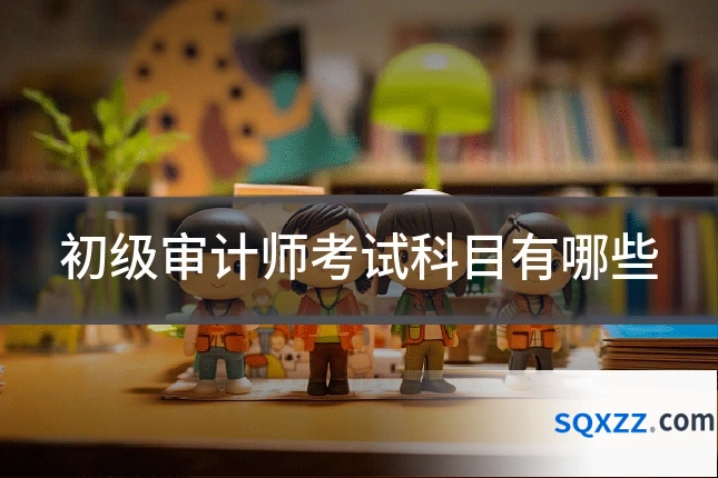 初级审计师考试科目有哪些