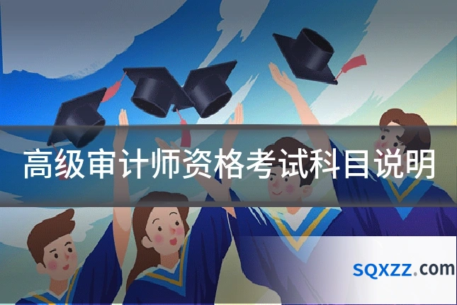 高级审计师资格考试科目说明