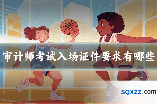 审计师考试入场证件要求有哪些