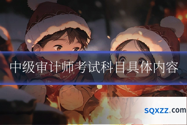 中级审计师考试科目具体内容