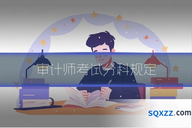 审计师考试分科规定