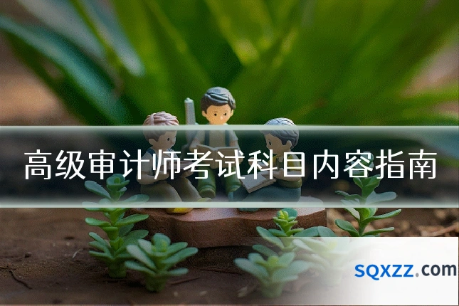 高级审计师考试科目内容指南