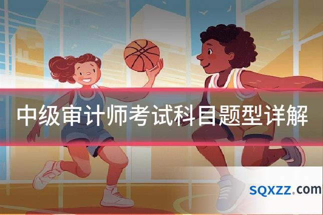 中级审计师考试科目题型详解