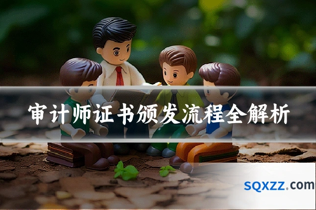 审计师证书颁发流程全解析