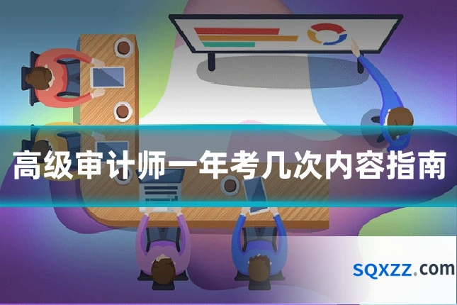 高级审计师一年考几次内容指南