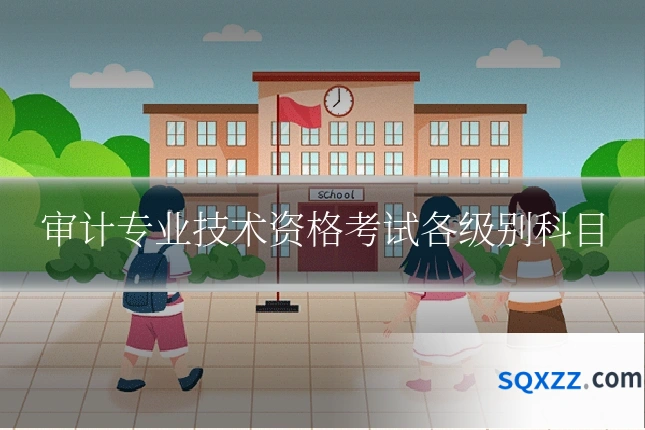 审计专业技术资格考试各级别科目