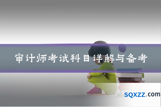 审计师考试科目详解与备考