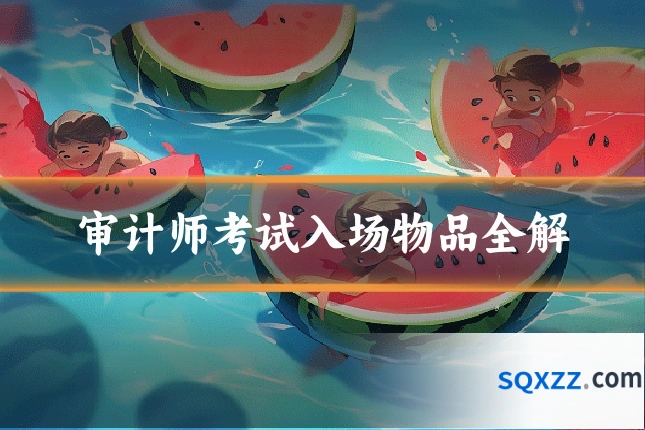 审计师考试入场物品全解