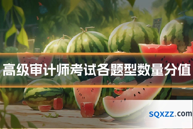 高级审计师考试各题型数量分值
