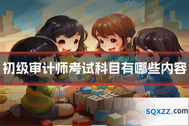 初级审计师考试科目有哪些内容