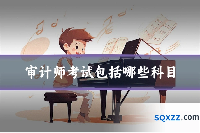 审计师考试包括哪些科目