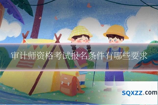 审计师资格考试报名条件有哪些要求