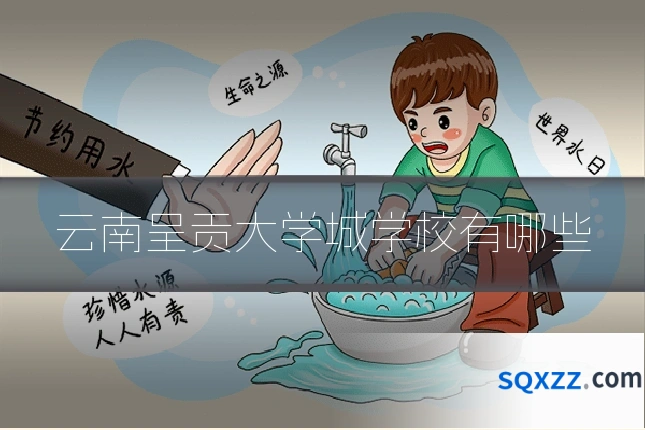 云南呈贡大学城学校有哪些