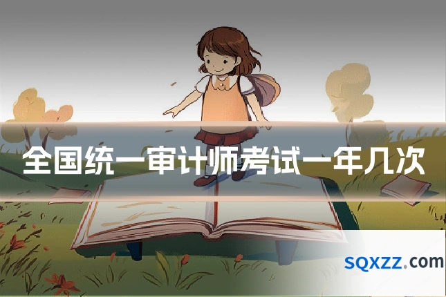 全国统一审计师考试一年几次