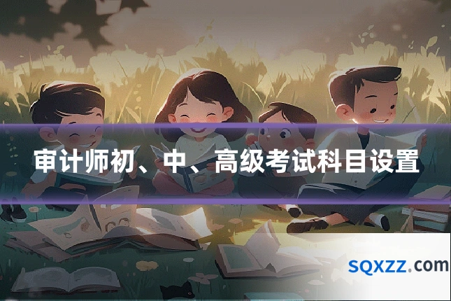 审计师初、中、高级考试科目设置