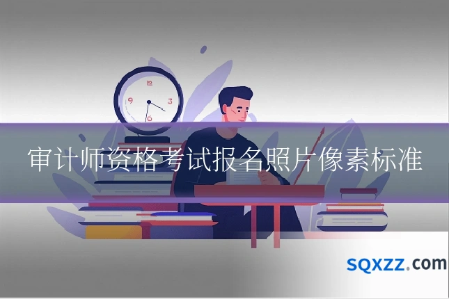 审计师资格考试报名照片像素标准