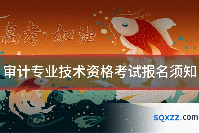 审计专业技术资格考试报名须知