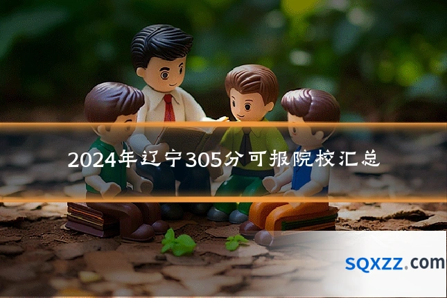 2024年辽宁305分可报院校汇总