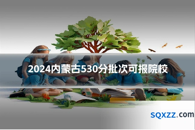 2024内蒙古530分批次可报院校