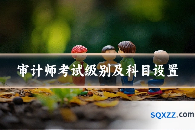 审计师考试级别及科目设置