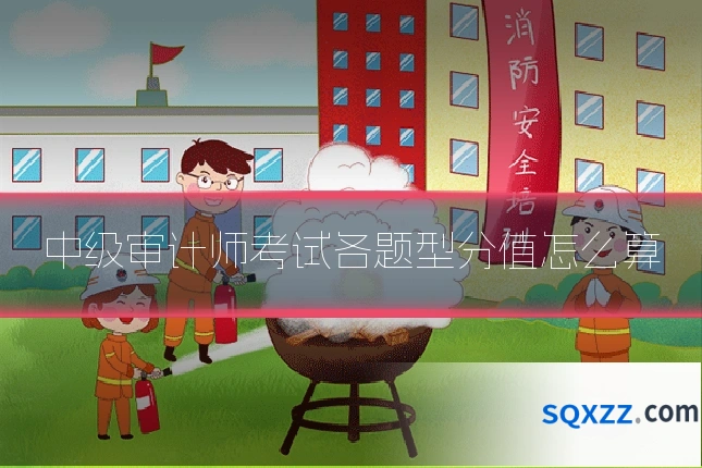 中级审计师考试各题型分值怎么算