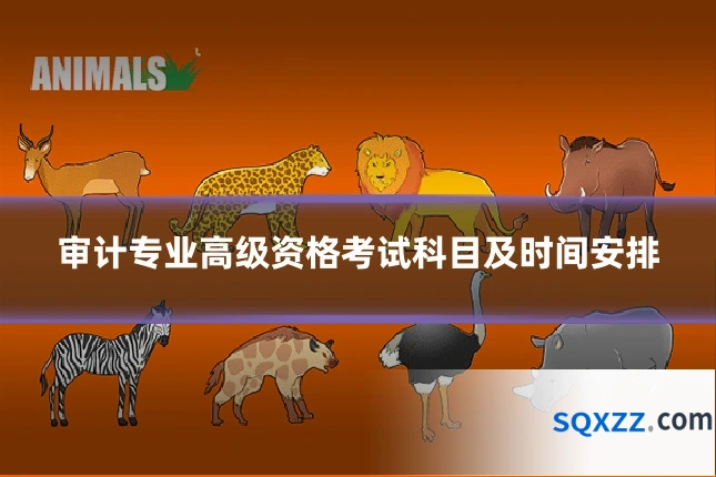 审计专业高级资格考试科目及时间安排