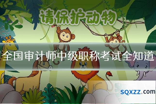 全国审计师中级职称考试全知道
