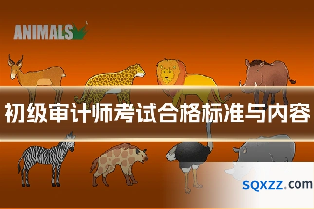 初级审计师考试合格标准与内容