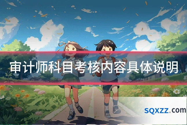 审计师科目考核内容具体说明
