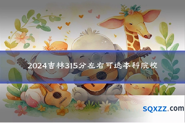 2024吉林315分左右可选本科院校