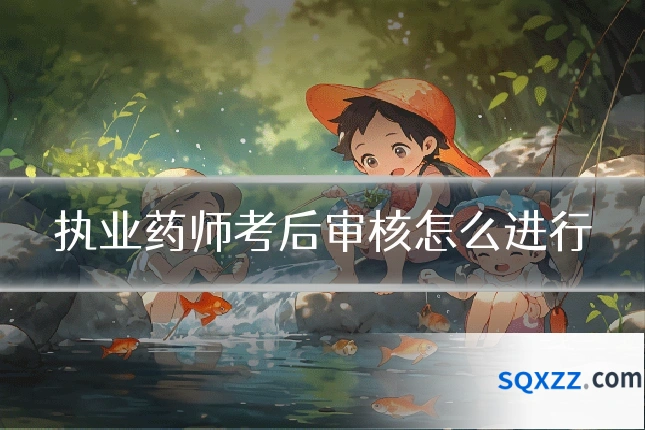 执业药师考后审核怎么进行