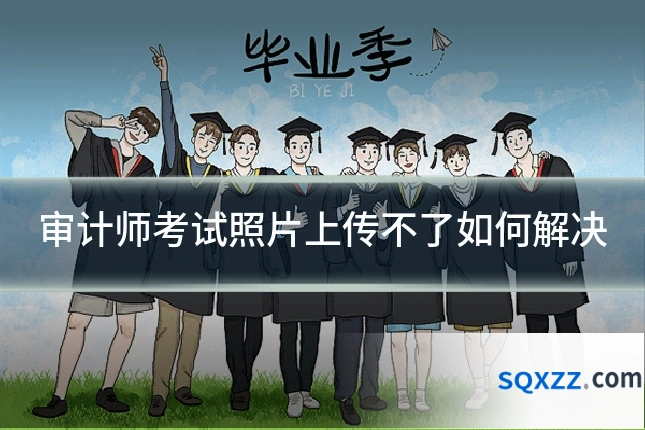审计师考试照片上传不了如何解决