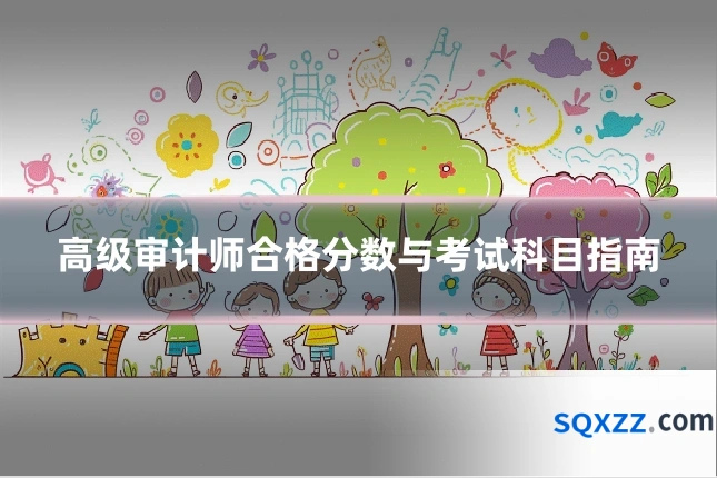 高级审计师合格分数与考试科目指南