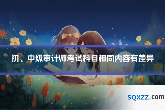 初、中级审计师考试科目相同内容有差异