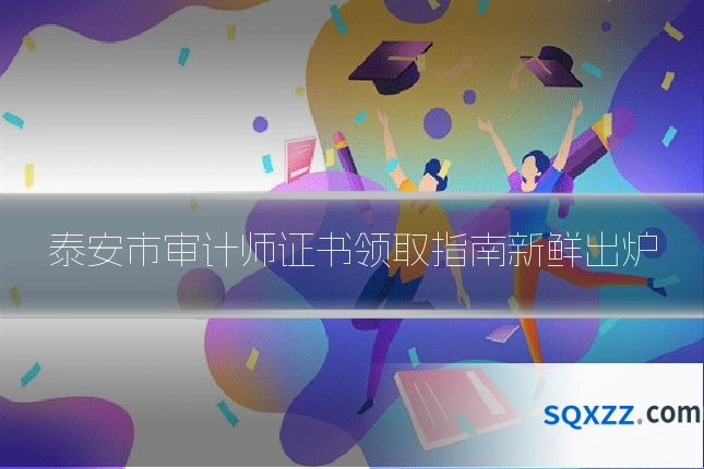 泰安市审计师证书领取指南新鲜出炉